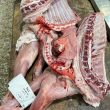 Cabrito