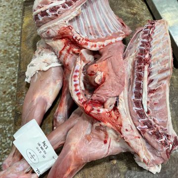 cabrito